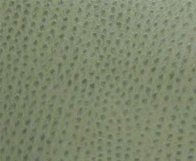 Burch Phoenix Drizzle