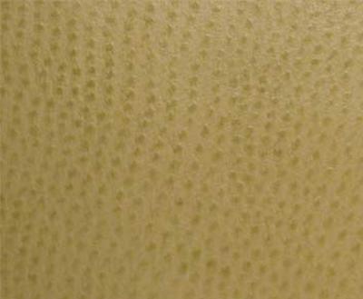 Burch Phoenix Lemonade