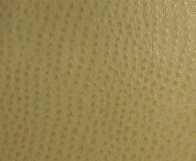 Burch Phoenix Willow