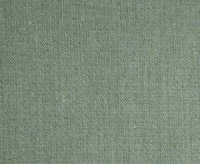 Burch Vibe Caribbean