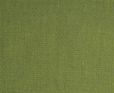 Burch Vibe Grasshopper