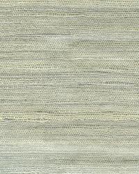 Catania Silks Raw Silk 25