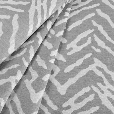 Chella Tiger Scan 42 Argento