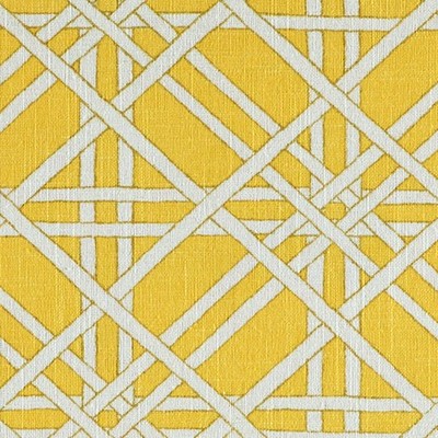 Covington Ashley 8 Daffodil