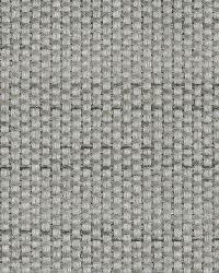 Covington Braxton 908 Platinum Fabric
