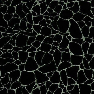 Covington Dare 947 Noir