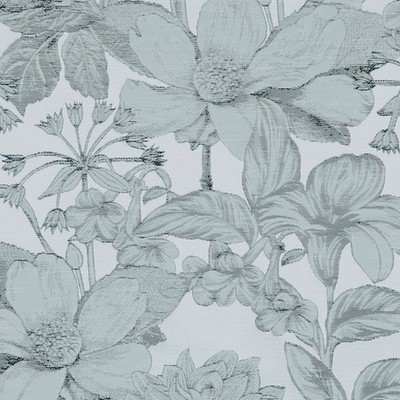 Covington Eva 904 Ivory Ebony