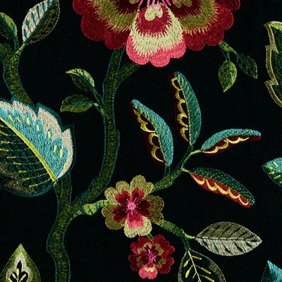 Covington Folk Song 407 Black Raspberry