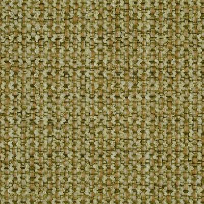 Covington Fordham 209 Basil