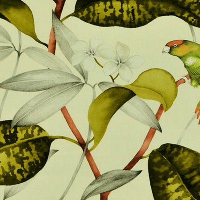 Covington Hello Polly 206 Greenery