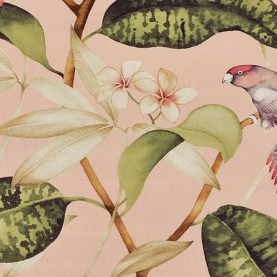 Covington Hello Polly 71 Bella Pink