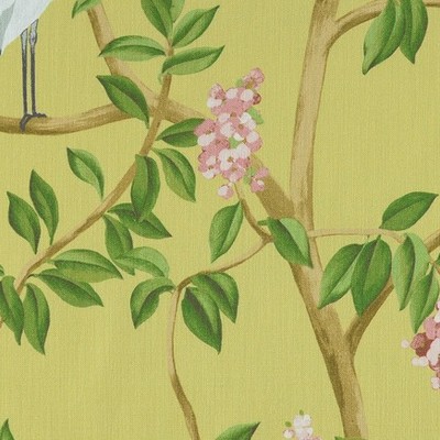 Covington Heron 8 Daffodil