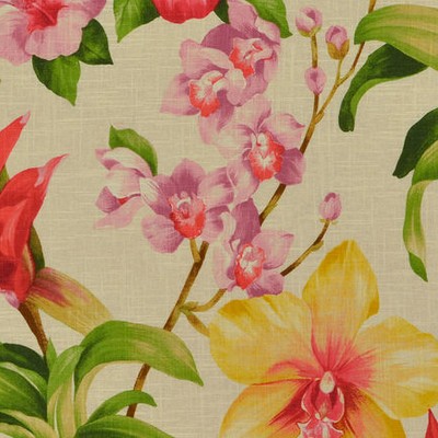 Covington Khaleesi 354 Fruit Punch