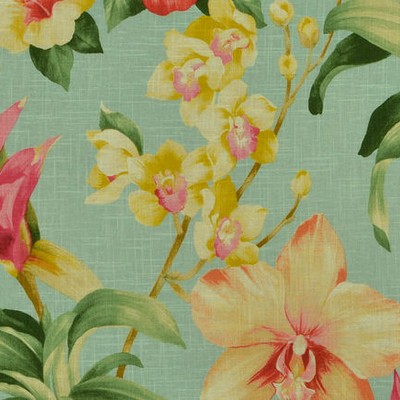 Covington Khaleesi 888 Spring