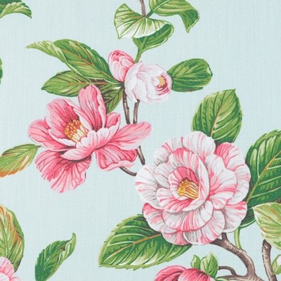 Covington Penelope 75 Sorbet