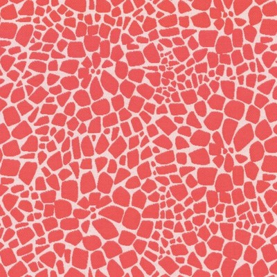 Covington SD Turtle Back 74 Coral