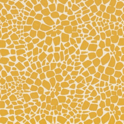 Covington SD Turtle Back 885 Sunshine