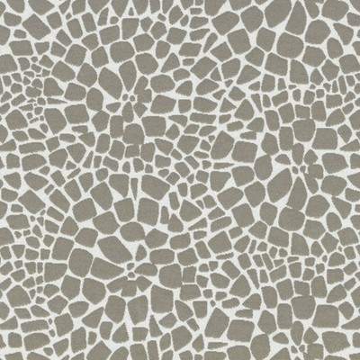 Covington SD Turtle Back 95 Dolphin