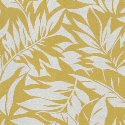 Covington SD Ying Yang 885 Sunshine