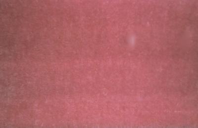 Dekortex Splendid Mohair 841