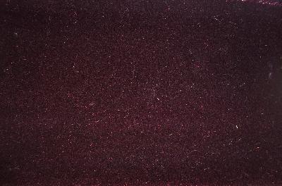 Dekortex Splendid Mohair 877