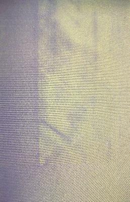 Dogwood Fabric 2279 6 Aster Purple