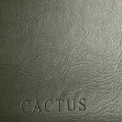 Europatex Derma Performance Cactus