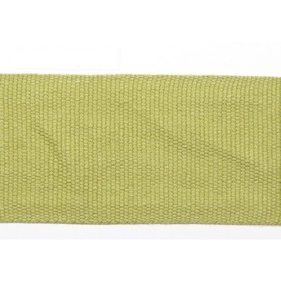 Europatex Trimmings Le Lin 2in Tape Pear