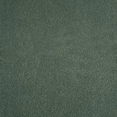 Europatex Merino Cactus