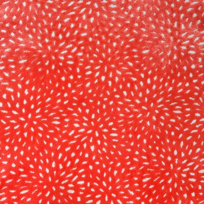 Sun Coral Europatex Sun Coral