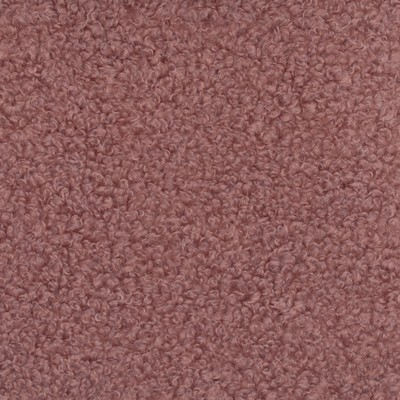 Europatex Teddy Rose