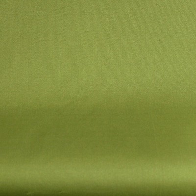 Fabrics in Fashion Polyester-Taffeta 1851
