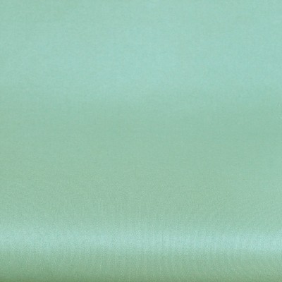 Fabrics in Fashion Polyester-Taffeta 1861