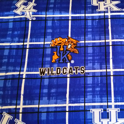 Foust Textiles Inc Kentucky Wildcats Plaid Cotton Print 