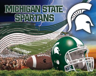 Foust Textiles Inc Michigan State Spartans Fleece Panel  Search Results