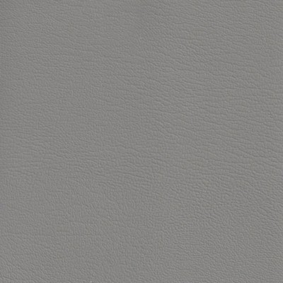 Futura Vinyls Auto Revolution Light Gray