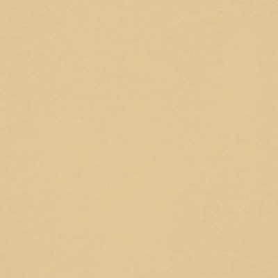 Spectrum Egg Shell Futura Vinyls Spectrum Egg Shell