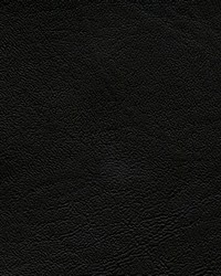 Futura Vinyls Venice Island 702 Tempest Black Fabric