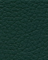 Futura Vinyls Xtreme 613 Forest Green Fabric