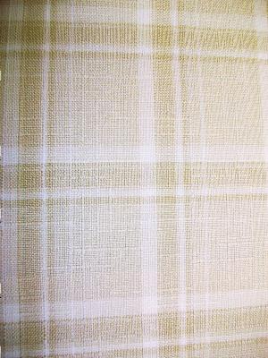 Gabe Humphries Caley Shell