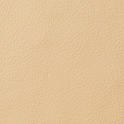 Garrett Leather Avion Champagne
