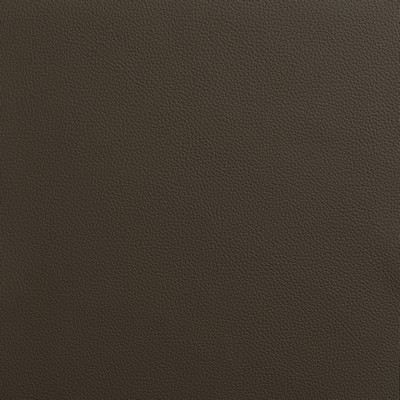 Garrett Leather Avion Shadow