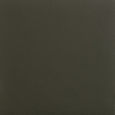 Garrett Leather Avion Spruce