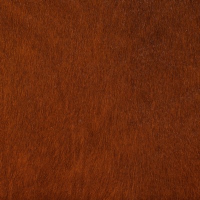 Garrett Leather Capelli Hide Baio