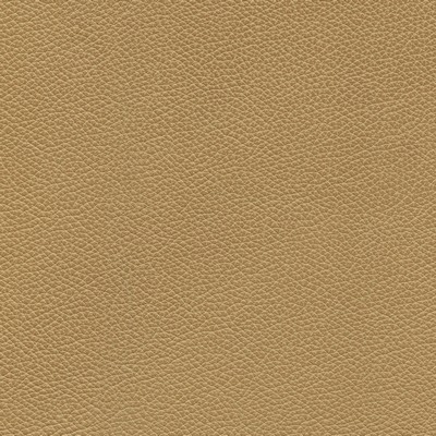 Garrett Leather Mystique Safari