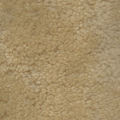 Garrett Leather Sheepskin Beige Curly