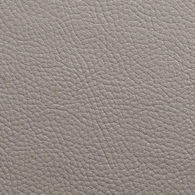 Garrett Leather Torino Titanium