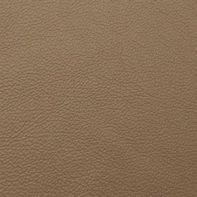 Greenhouse Fabrics 75457 Taupe