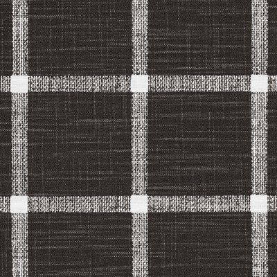 Gum Tree Audubon Charcoal