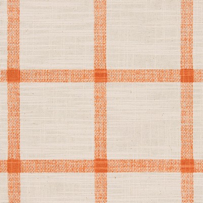 Gum Tree Audubon Sunkiss